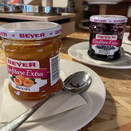 The Originals City, La Maison De Lise, Mulhouse ホテル イルツァッハ